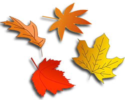 Seasons