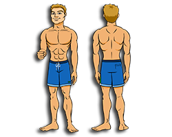 Parts of the body