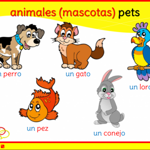 Hola Espanol - KS2 Spanish | Primary Languages KS2 | JMB Education