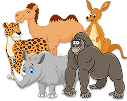 Zoo and habitats