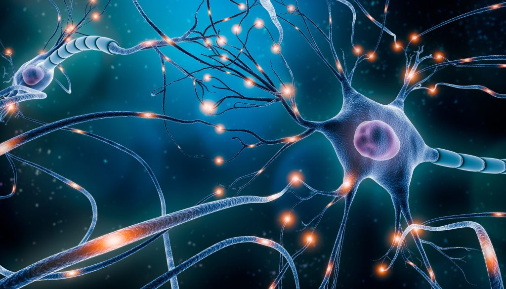 Brain-based learning (Zoom)